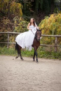Bride on horse 스톡 사진