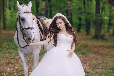 Bride with horse Stock Photos