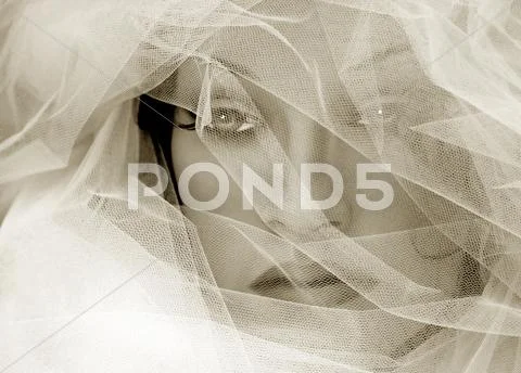 The bride Stock Illustration
