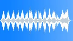 Bride Incoming Theme - Shy Stock Music