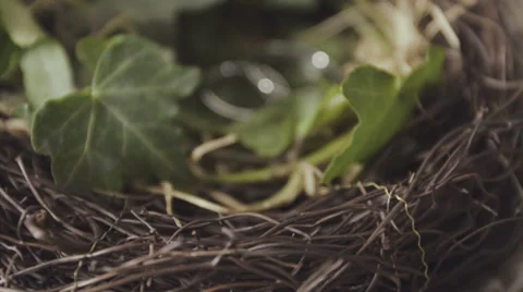 Bride jumping on the bed in the rich interior Stock Footage 67568645