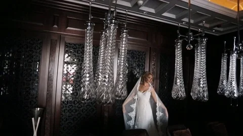 Bride in luxury interior Stock Footage 86312628