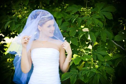A bride near the tree Stock Photos