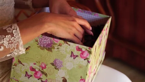 Bride opens the box with live exotic butterfly . Stock Footage 104047803