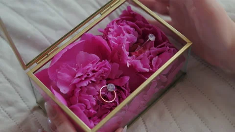 Bride opens glass box with wedding rings and flowers. High-quality 4k footage 库存影片 235730877