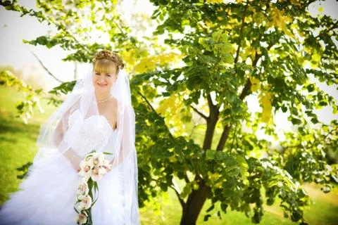 Bride in the park Stock Photos