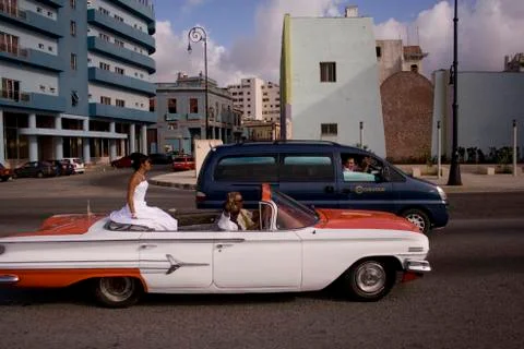 The bride Stock Photos