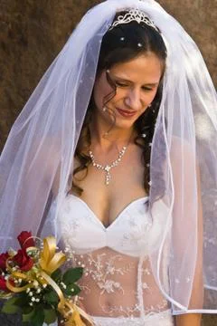Bride Stock-Fotos