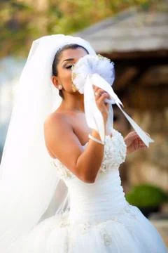 Bride Stock Photos