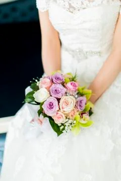 The bride Stock Photos