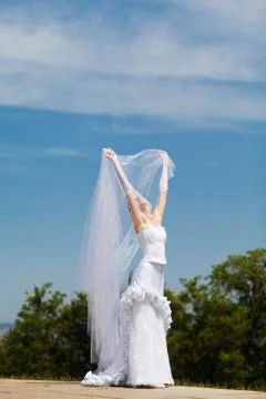 Bride plays with the veil Stock Photos