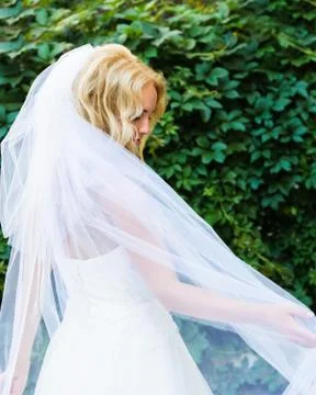 Bride posing on the background of shrubs Stock Photos