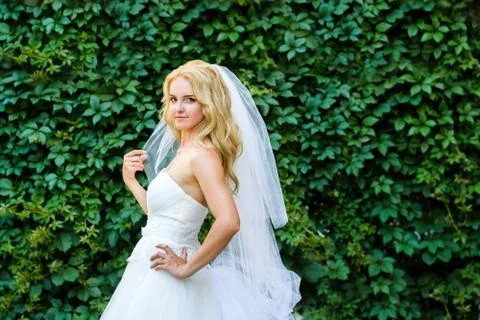 Bride posing on the background of shrubs Stock Photos