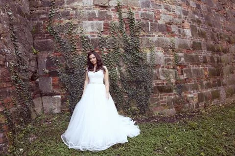 Bride posing on a bricked wall Stock Photos