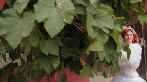 Bride posing Stock Footage 30366173