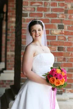 Bride posing Stock Photos