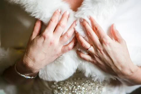 Bride Preperation Stock Photos