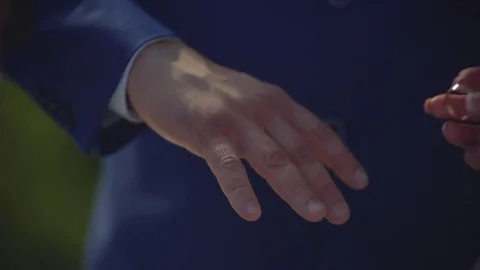 The bride puts the ring on the finger of the groom Stock Footage 76810080