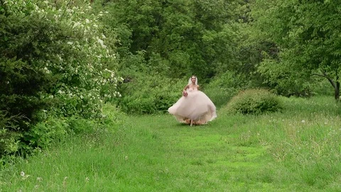 Bride Running in Forest Slow Motion HD Vidéo 83308409