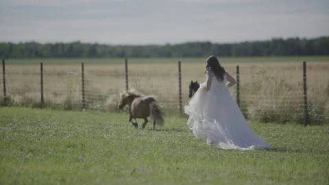 Bride running with miniature horses Stock Footage 232634836