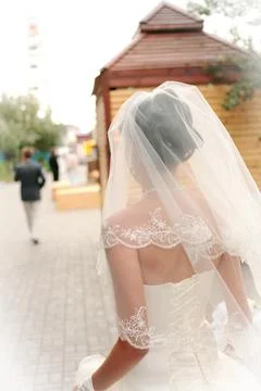 A bride, seen from behind, wears a delicate weil and lace-trimmed dress Stock Photos