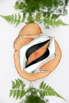 A bride shoe on a piece of tree cut Stock Photos