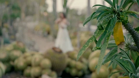 Bride silhouette among cactuses. wedding day Stock Footage 220132217