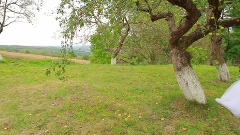 The bride sits on a beautiful swing Stock Footage 75024418