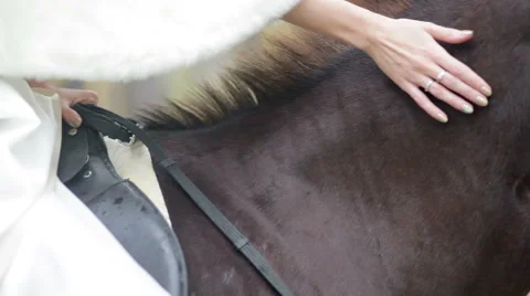Bride sitting on a horse and stroking it. Stock Footage 56765417