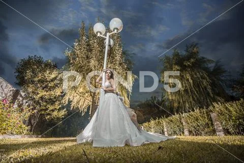 Bride standing in garden Stock Photos