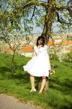 Bride standing in a tree Stock Photos