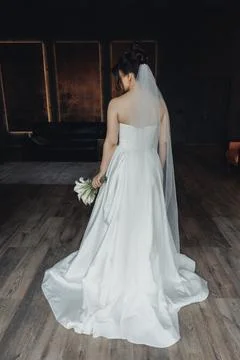 Bride stands still, back to camera Stock Photos