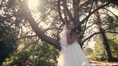 Bride stands under a big tree in the forest a beautiful dress steadicam shot Stock Footage 128146849