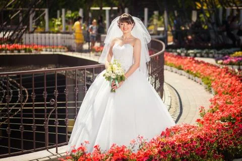 Bride in summer park Stock Photos