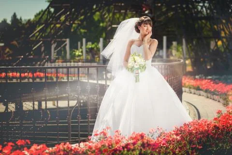 Bride in summer park Stock Photos