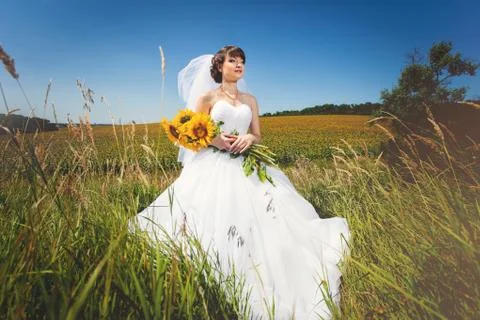Bride with sunflowers Stock Photos
