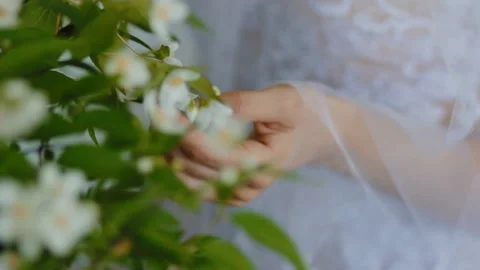 The bride touching the bouquet Stock Footage 100196907