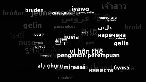 Bride Translated in 60 Worldwide Languages Endless Looping 3d Zooming Wordclo Stock Footage 145200296