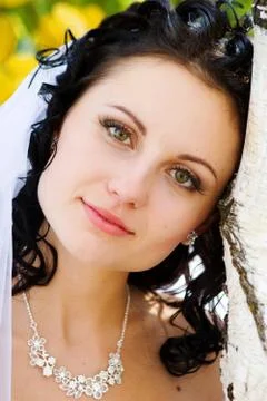 Bride by the tree Stock Photos