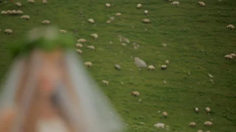 Bride under a veil on a background of green pasture with a flock of sheep Stock Footage 122219680