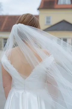Bride with Veil Back View Stock Photos