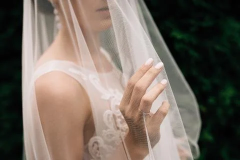 Bride in veil Stock Photos