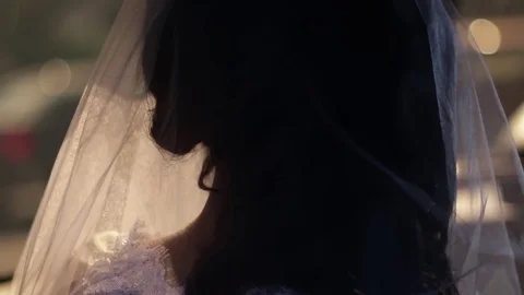 Bride veil silhouette Stock Footage 78559724