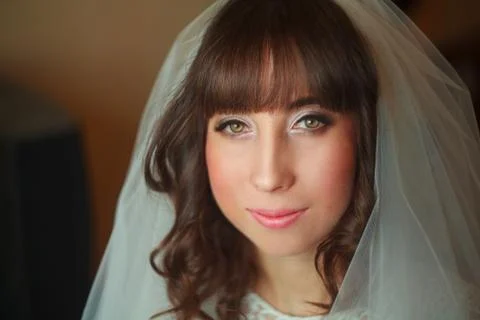 Bride with veil smiling Stock Photos
