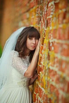 Bride with veil smiling Stock Photos
