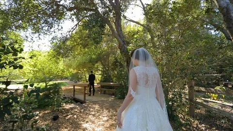 Bride in veil walking in slow motion wearing for the first look Stock-Footage 106209979