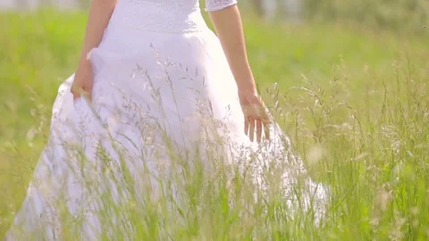 The bride is walking along the field in a summer sunny day Stock Footage 78212933