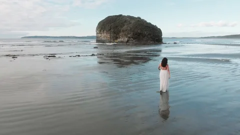 Bride walking on the beach shore Stock Footage 108937701