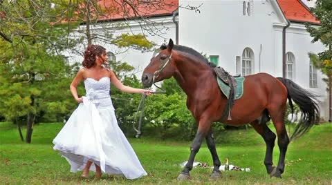 Bride walking with her horse Stock Footage 24673281