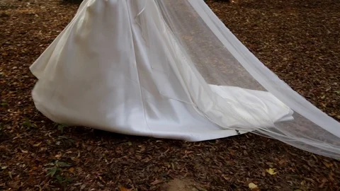 Bride walking in nature Stock Footage 101745833
